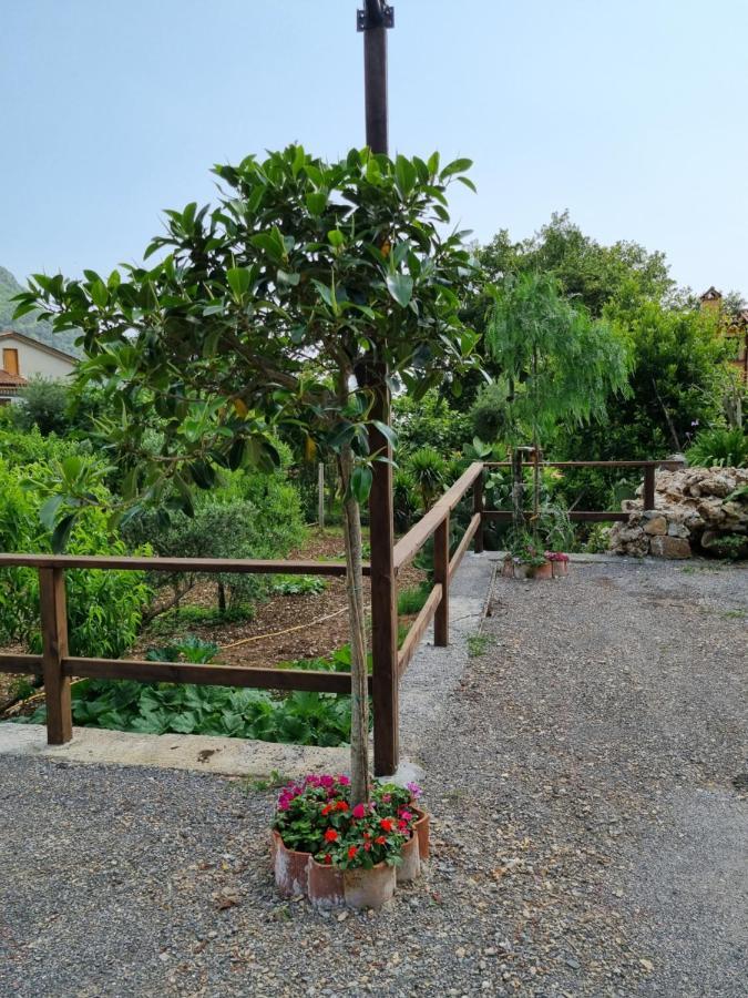 马拉泰亚Il Ruscello住宿加早餐旅馆 外观 照片